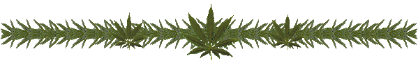 marijuanadivider2.gif